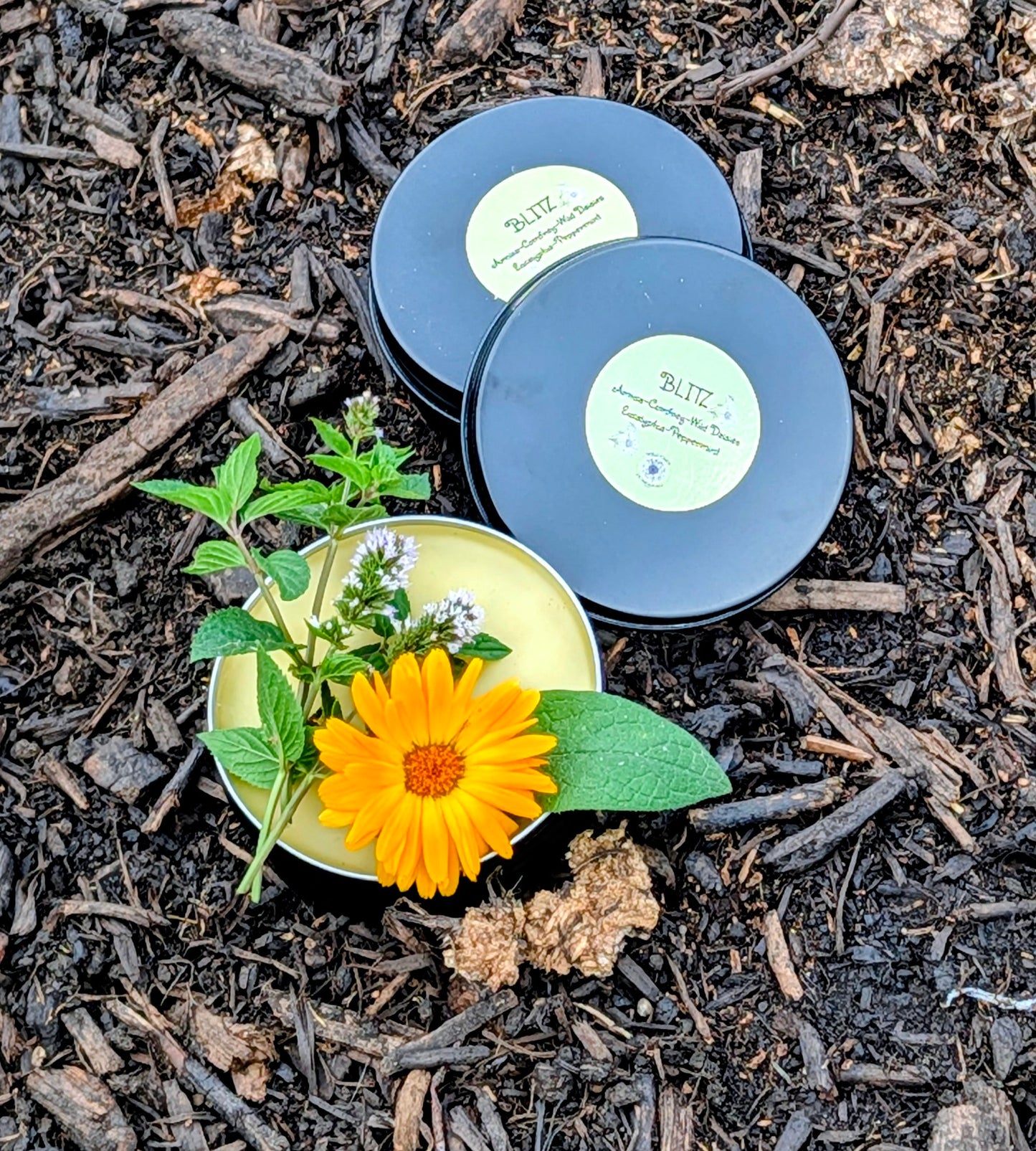 Blitz - Arnica and Comfrey Salve Herbal Remedies