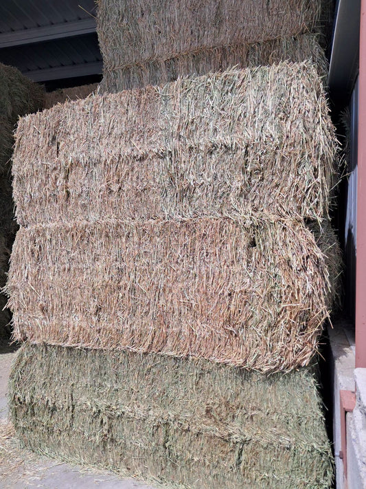 Sainfoin Hay The Premium Bloat Free Hay Forage Legume For Livestock, Deer and Elk Herds.