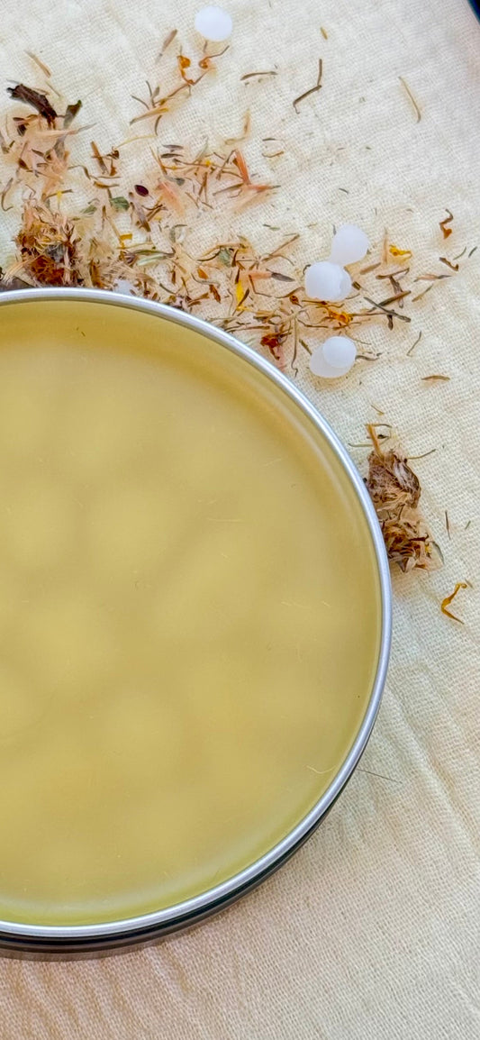 "An open tin of smooth, yellow herbal salve placed next to dried arnica flowers and white salt crystals on a light-colored surface."