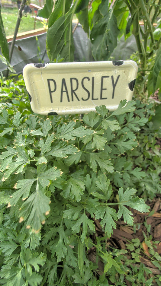 How To Start Your Homesteading Journey Today.