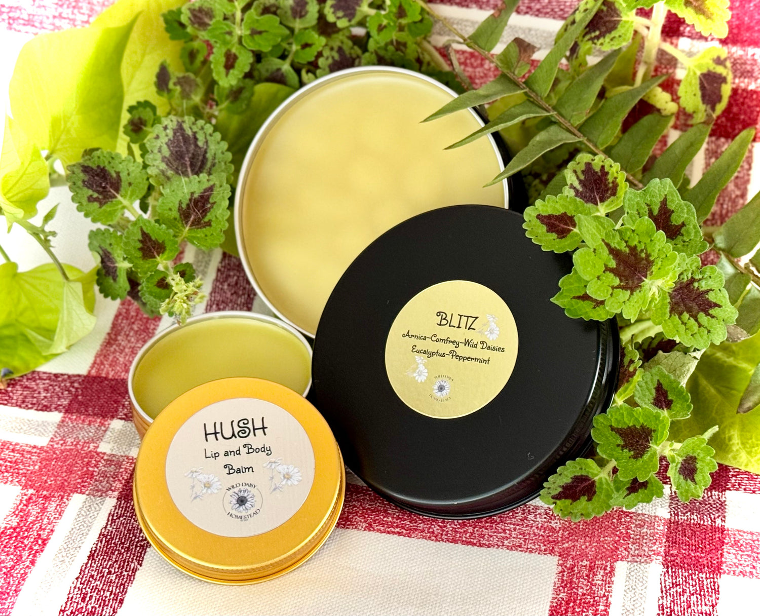 Blitz - Arnica and Comfrey Salve  &  Hush - Lip and Body Balm