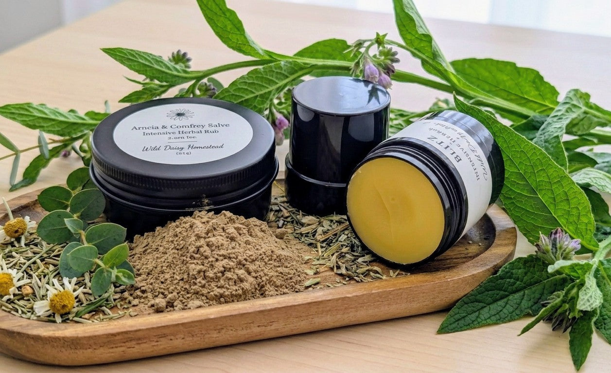 Blitz - Arnica and Comfrey Salve Herbal Remedies