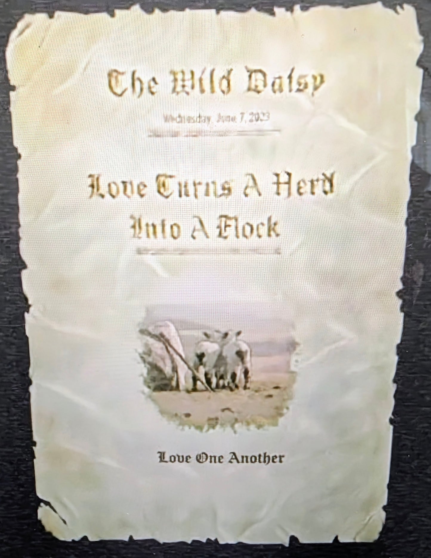 "Love One Another" Parable Hoodie - Lambs with Heart-Shaped Spots - Vintage Farm Design