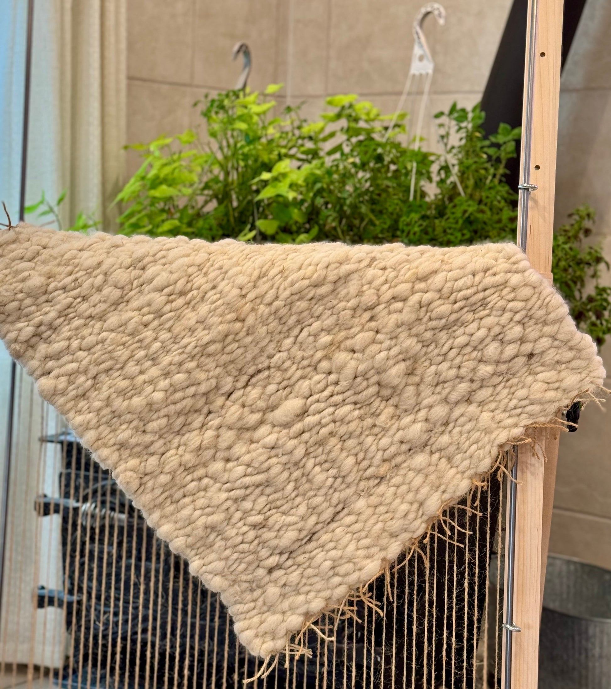 This beautiful hand woven, off white, sheep wool rug is made from 100% sheep wool grown right here at Wild Daisy Homestead.   
The warp and trim are made with 100% natural jute string.  Created on a peg loom this 23X26 rug is tightly woven together. When removed,  the finishing touches by tying the trim and hand stitching of the 100% leather tag attached, complete the project.  
